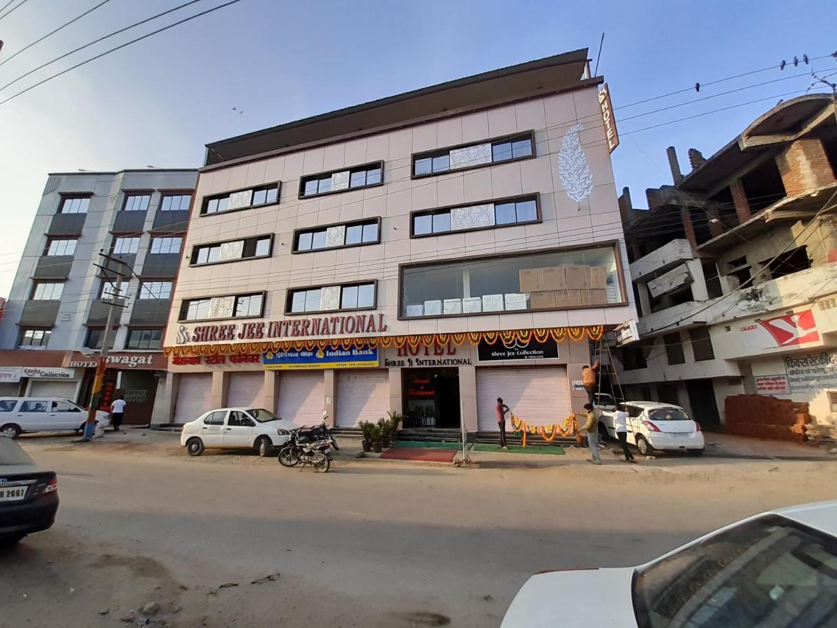 Отель Shree Jee Intenational Натхдвара Экстерьер фото